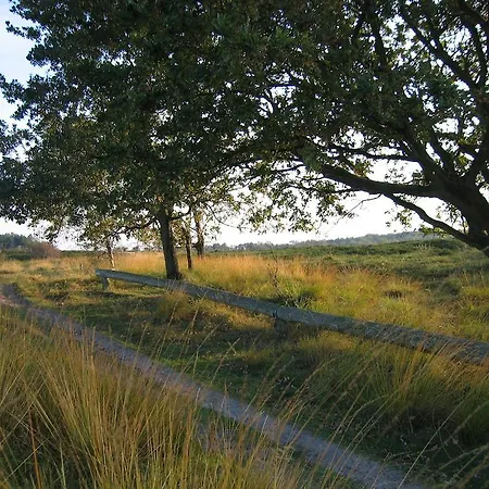 게스트하우스 Haus Witten Hoehen 3*